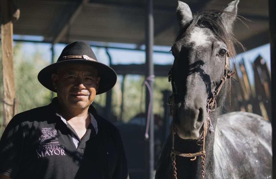 Maestro Mezcal El Caballero Mayor Historia