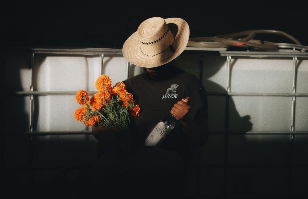 botella mezcal el caballero mayor proceso de elaboración